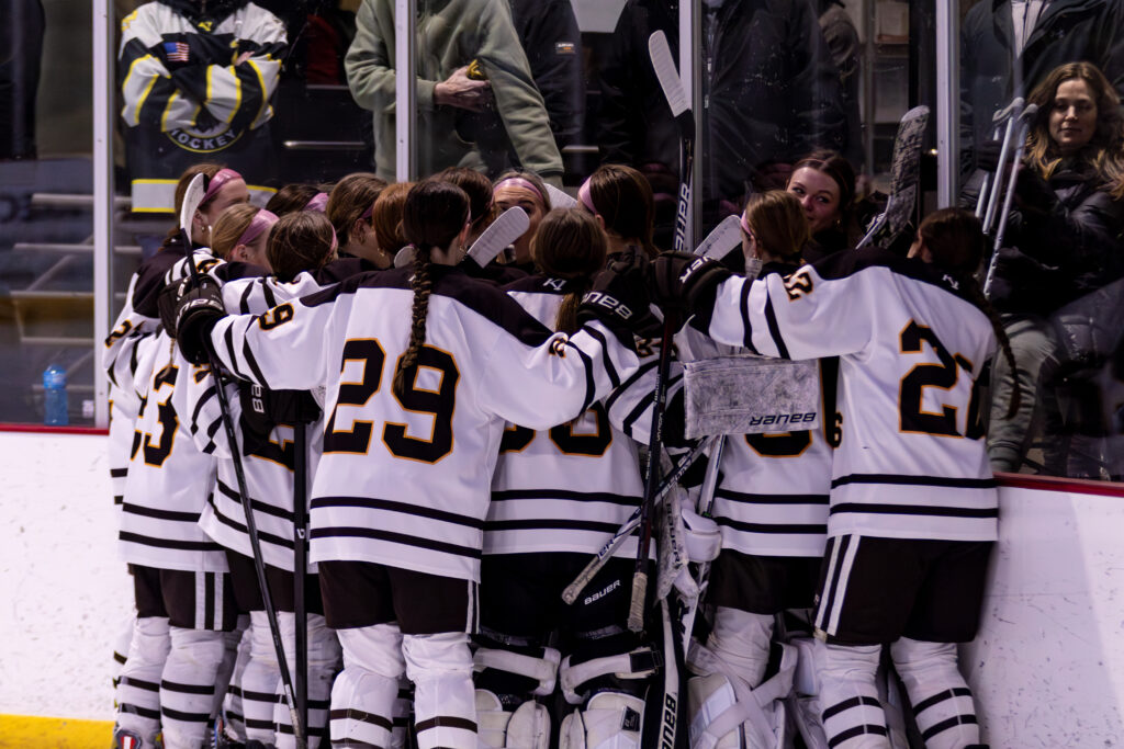 AV Girls Hockey vs Lakeville North