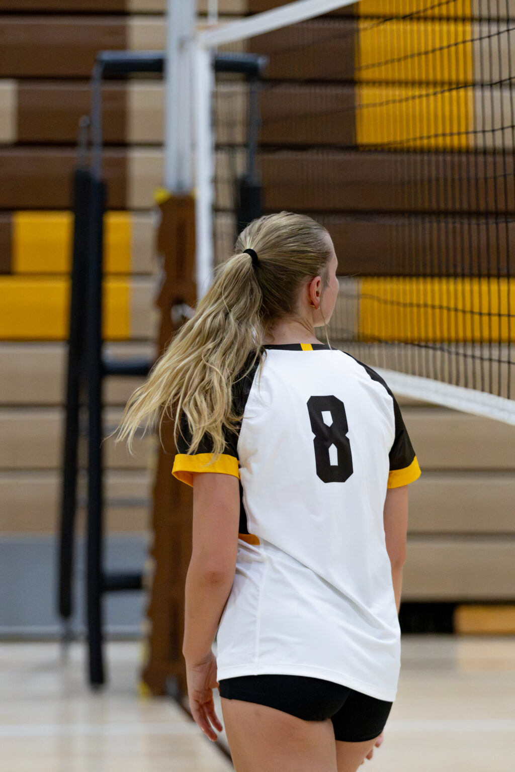 AV Girls Varsity Volleyball vs Hastings — September 8, 2026