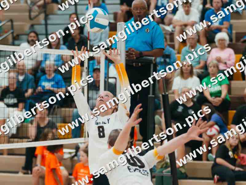 AV Girls Volleyball vs Eagan — October 1, 2025